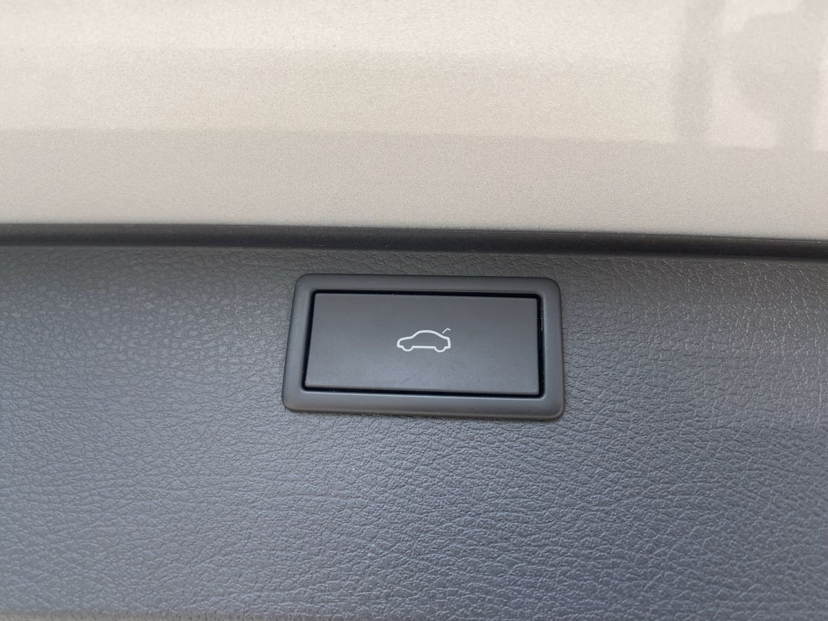 T6.1 Multivan 2.0 TDI DSG 4M 